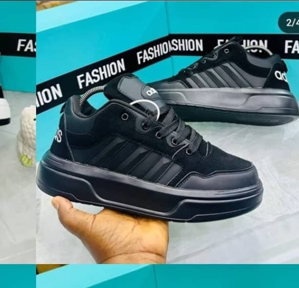 WhatsApp Image 2025 06 24 at 3.41.02 PM